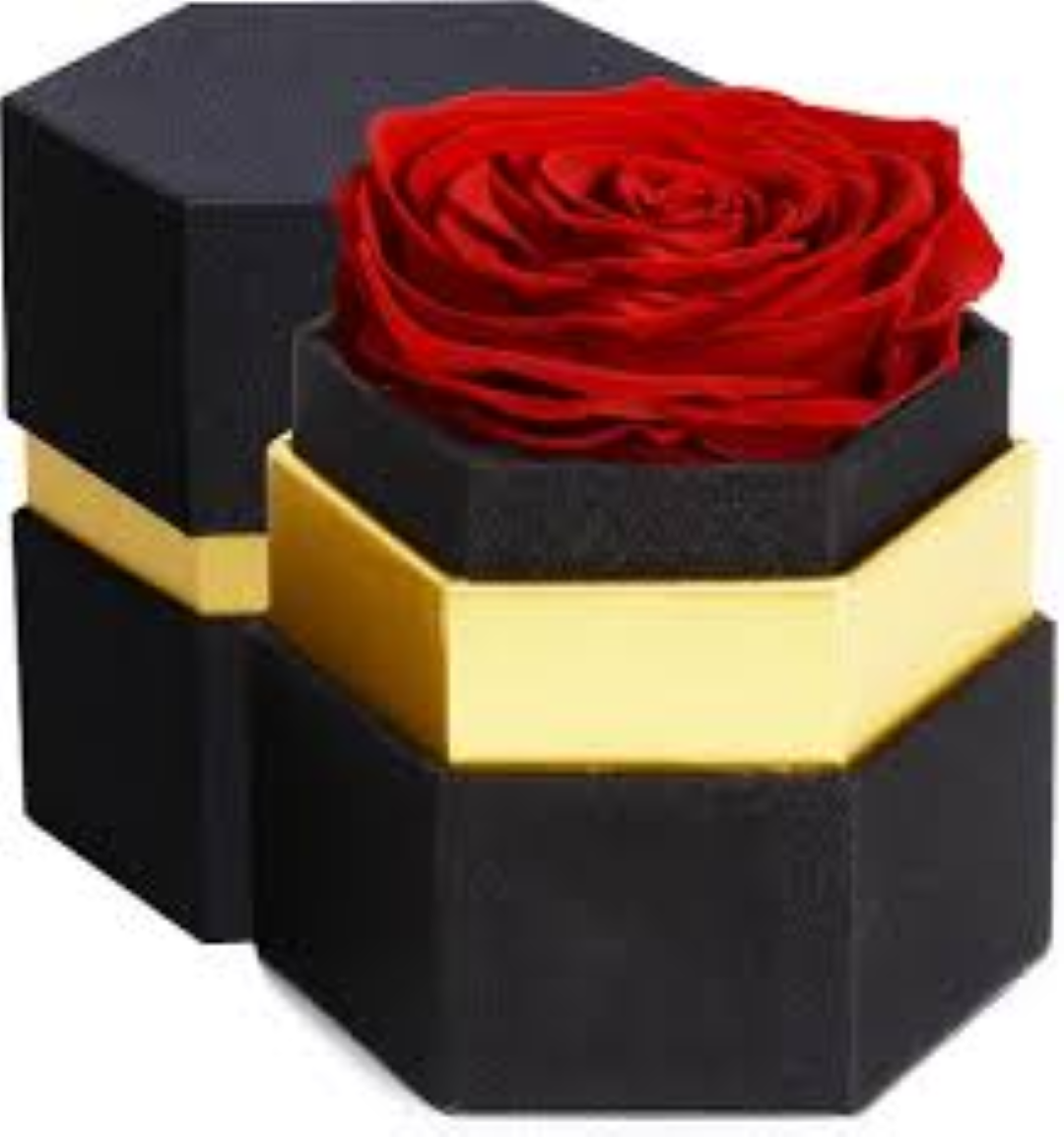 RAA HEXA PACK ROSE